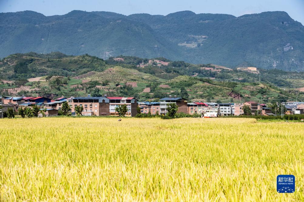 澳门京沙娱乐场下载